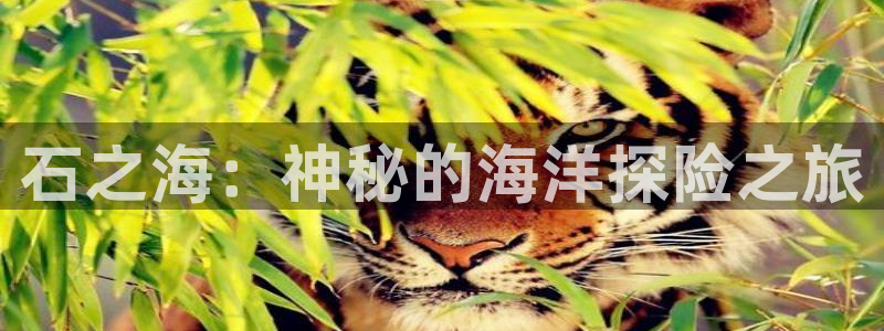 虫虫漫画首页入口