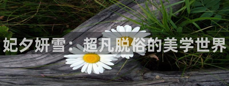 虫虫漫画免费漫画入口页面在线：妃夕妍雪：超凡脱俗的美学世界